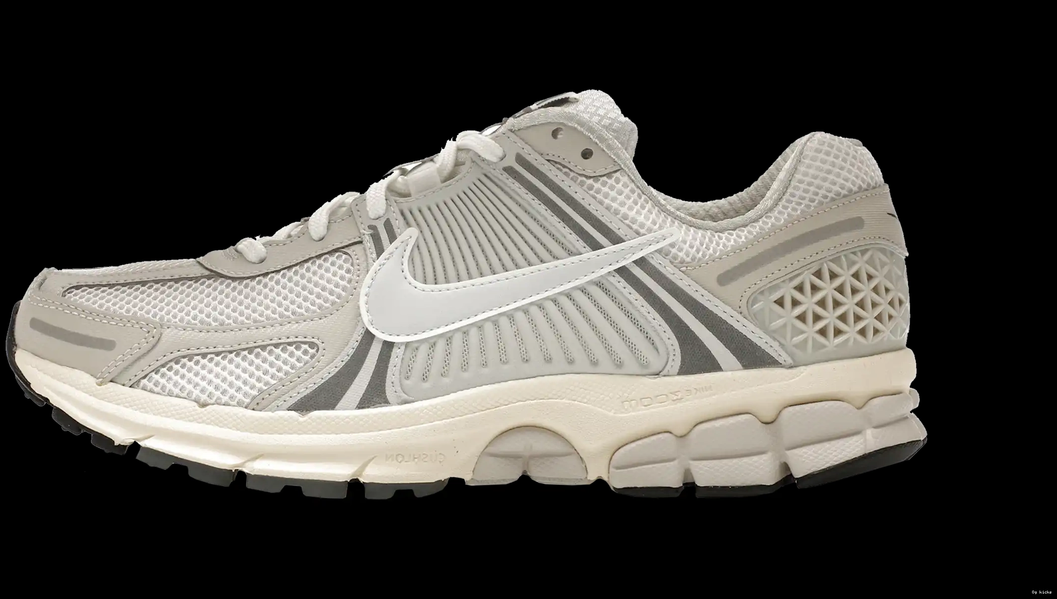 Platinum Tint Vomero Zoom 5 Nike 0602